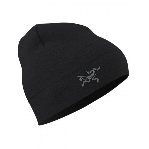 ArcTeryx ArcTeryx Rho Lightweight Wool Toque 29580 Bardu Sport 1