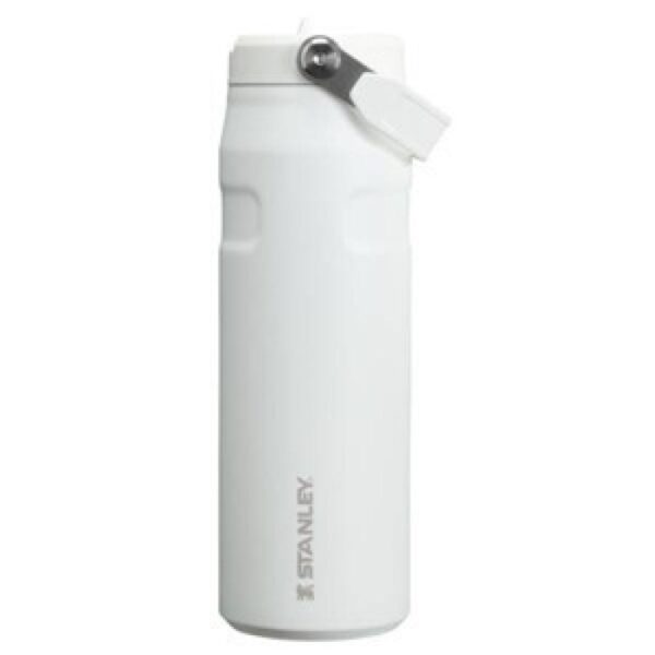 Stanley Stanley  IceFlow Flip Straw 2.0