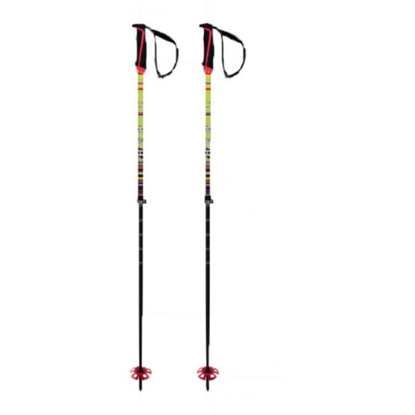 Völkl Völkl  Phantastick Fr Poles